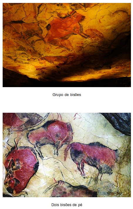 Arte rupestre 12